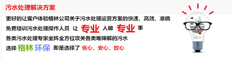 武漢格林環保設施運營有限責任公司  污水處理運營模式   工業污水處理  生活污水處理  